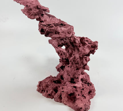WYSIWYG Coraline Reef Rock #12