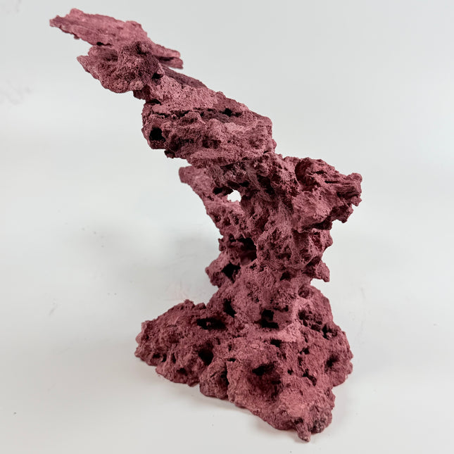 WYSIWYG Coraline Reef Rock #12