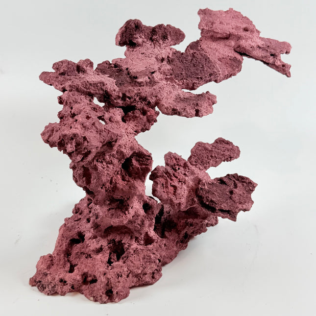 WYSIWYG Coraline Reef Rock #12