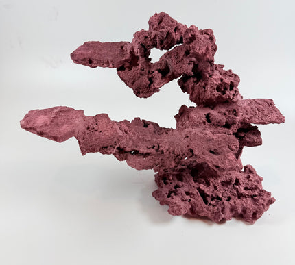 WYSIWYG Coraline Reef Rock #13