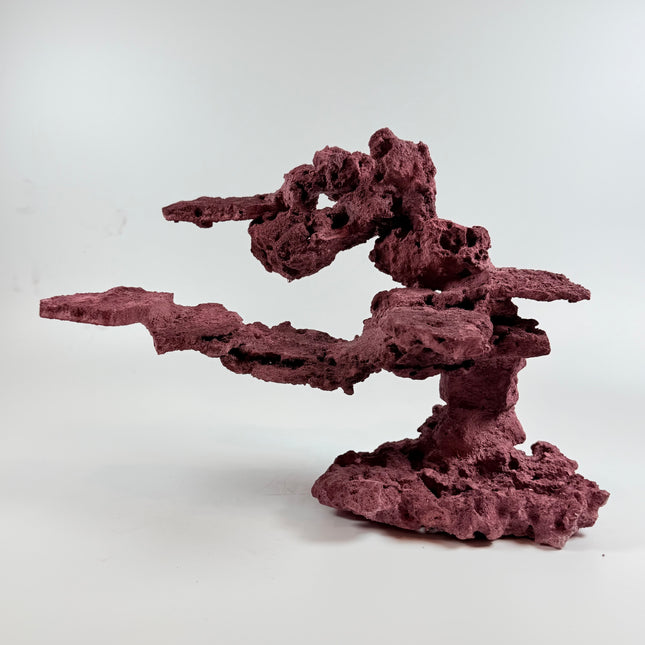 WYSIWYG Coraline Reef Rock #13