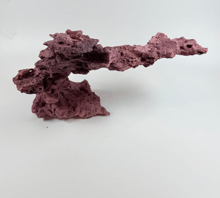 WYSIWYG Coraline Reef Rock #14
