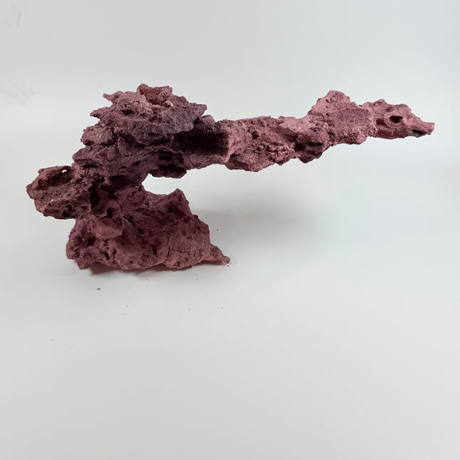 WYSIWYG Coraline Reef Rock #14