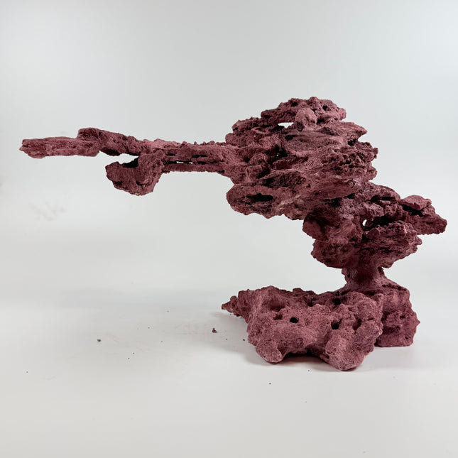 WYSIWYG Coraline Reef Rock #14