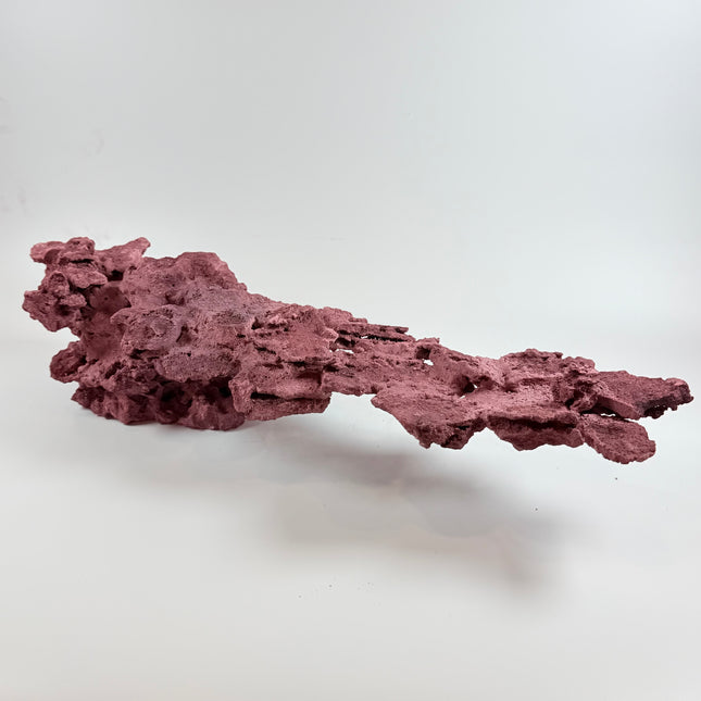 WYSIWYG Coraline Reef Rock #15
