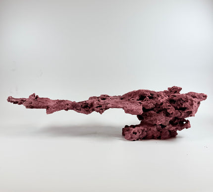 WYSIWYG Coraline Reef Rock #15