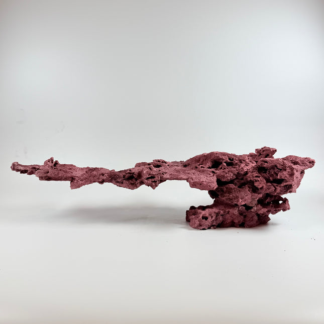 WYSIWYG Coraline Reef Rock #15