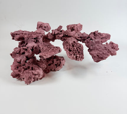 WYSIWYG Coraline Reef Rock #16