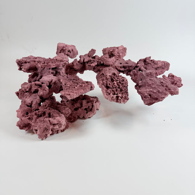 WYSIWYG Coraline Reef Rock #16