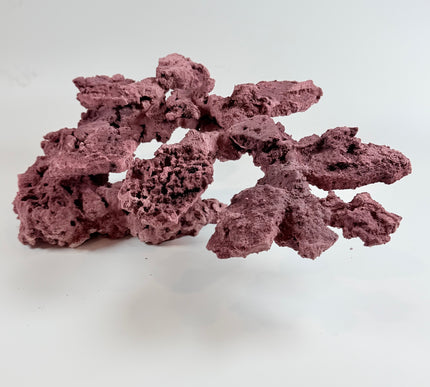 WYSIWYG Coraline Reef Rock #16