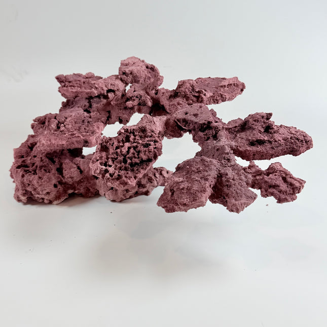 WYSIWYG Coraline Reef Rock #16