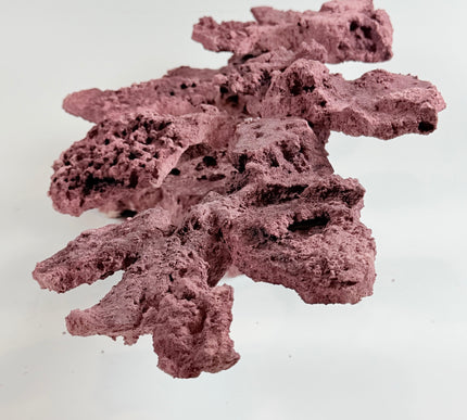 WYSIWYG Coraline Reef Rock #16
