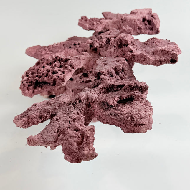 WYSIWYG Coraline Reef Rock #16