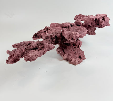 WYSIWYG Coraline Reef Rock #16