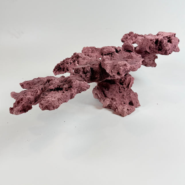 WYSIWYG Coraline Reef Rock #16