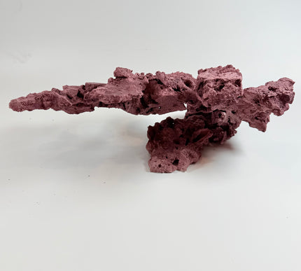 WYSIWYG Coraline Reef Rock #16