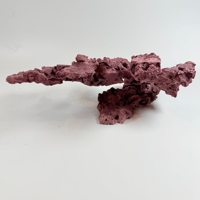 WYSIWYG Coraline Reef Rock #16