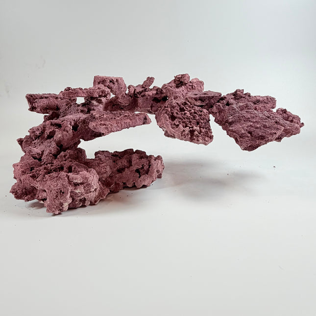 WYSIWYG Coraline Reef Rock #16
