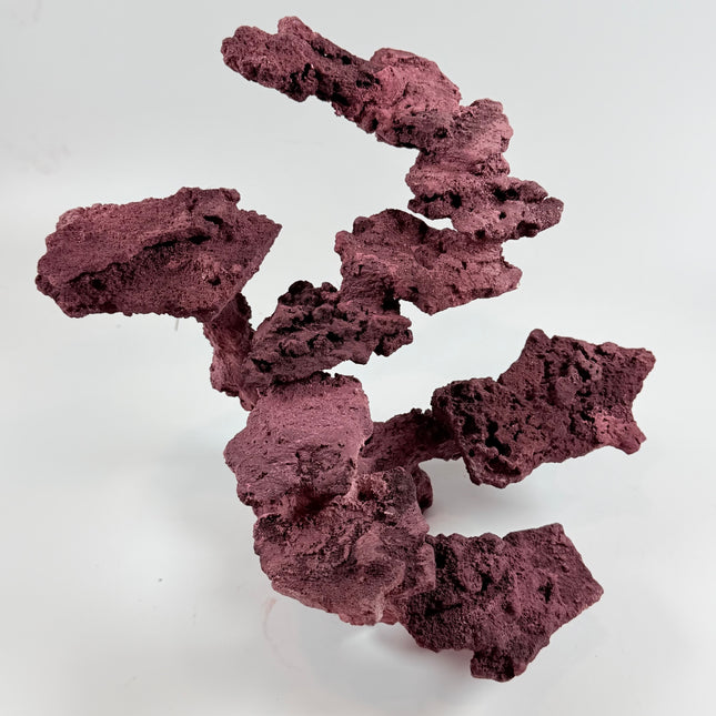WYSIWYG Coraline Reef Rock #17