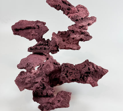 WYSIWYG Coraline Reef Rock #17