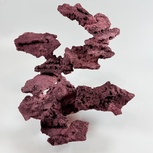 WYSIWYG Coraline Reef Rock #17