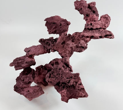 WYSIWYG Coraline Reef Rock #17