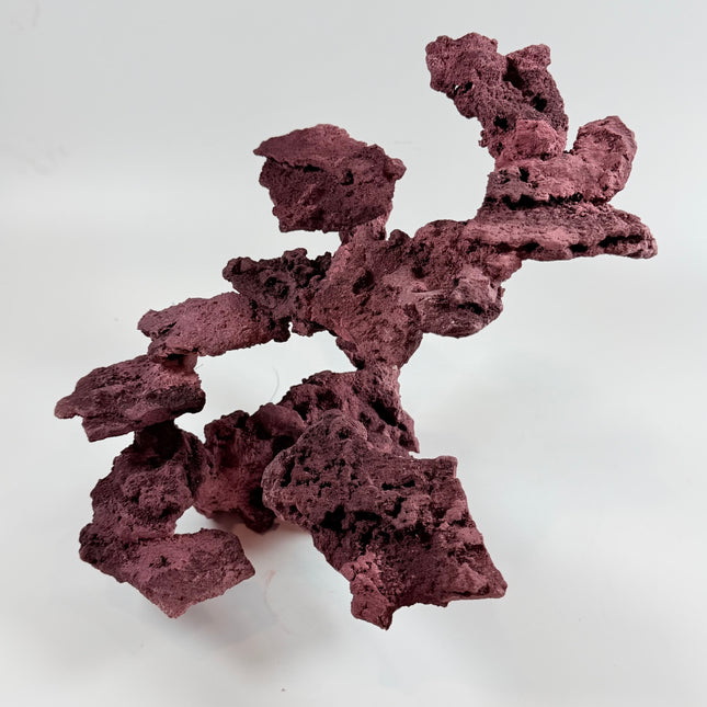WYSIWYG Coraline Reef Rock #17