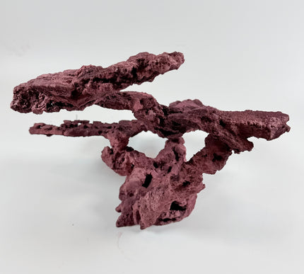WYSIWYG Coraline Reef Rock #17