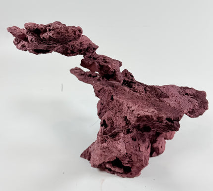 WYSIWYG Coraline Reef Rock #17