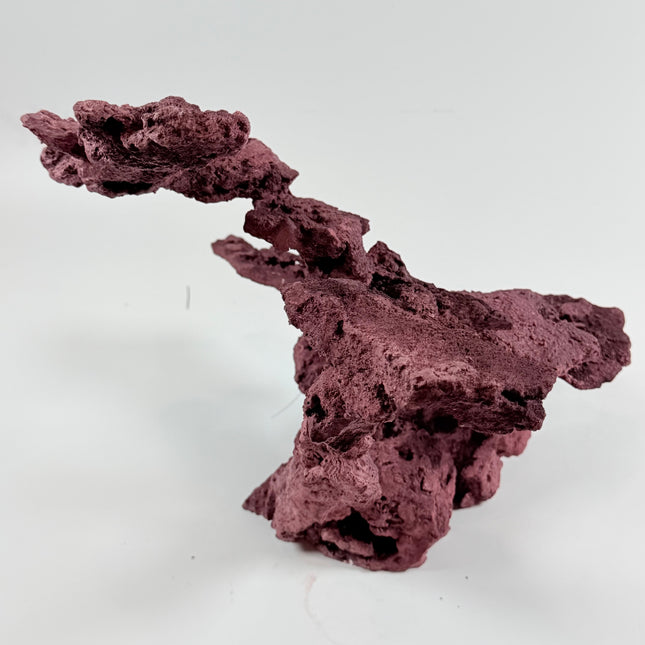 WYSIWYG Coraline Reef Rock #17