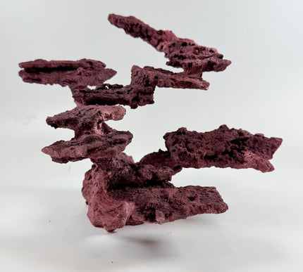 WYSIWYG Coraline Reef Rock #17