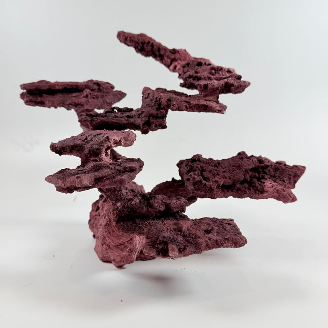 WYSIWYG Coraline Reef Rock #17
