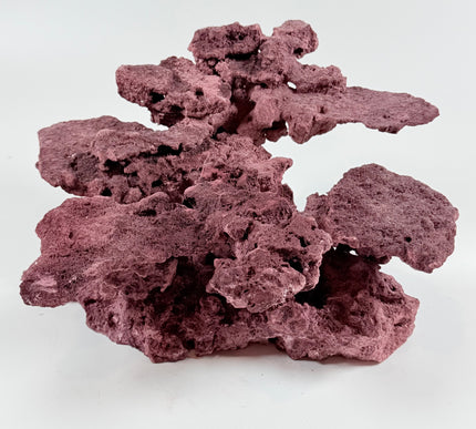 WYSIWYG Coraline Reef Rock #18