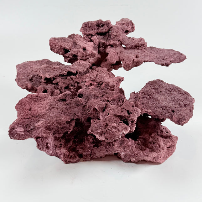 WYSIWYG Coraline Reef Rock #18