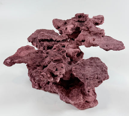 WYSIWYG Coraline Reef Rock #18