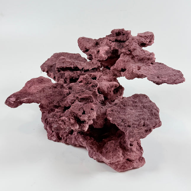 WYSIWYG Coraline Reef Rock #18