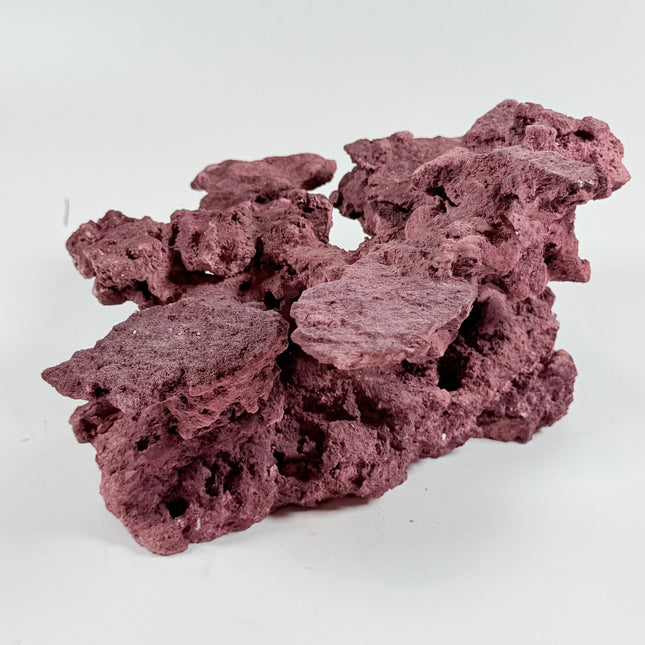 WYSIWYG Coraline Reef Rock #18