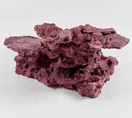 WYSIWYG Coraline Reef Rock #18
