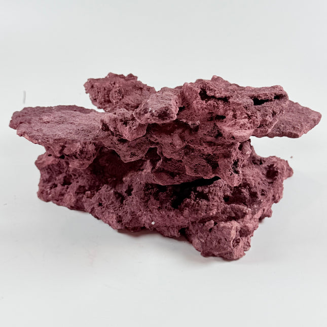 WYSIWYG Coraline Reef Rock #18