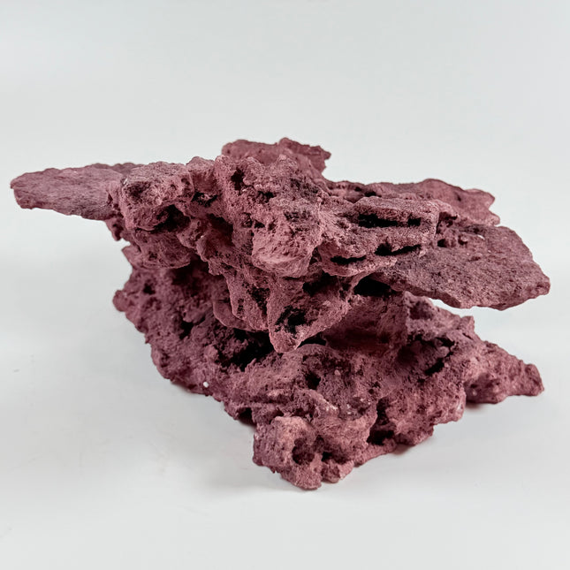 WYSIWYG Coraline Reef Rock #18