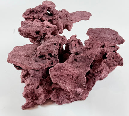 WYSIWYG Coraline Reef Rock #18