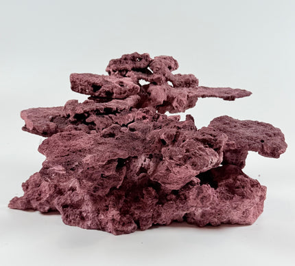 WYSIWYG Coraline Reef Rock #18