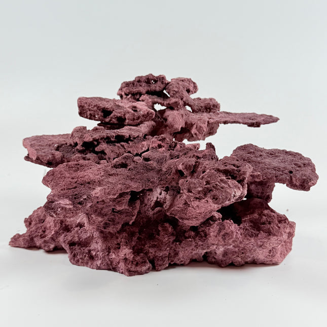 WYSIWYG Coraline Reef Rock #18