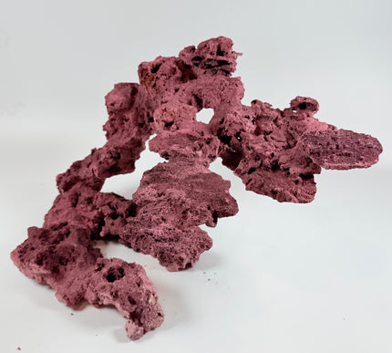WYSIWYG Coraline Reef Rock #19