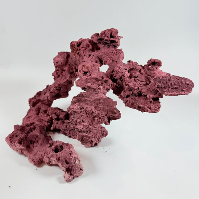 WYSIWYG Coraline Reef Rock #19