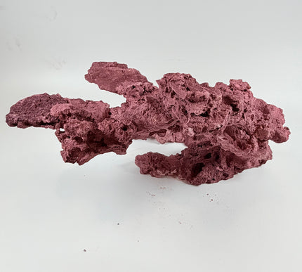 WYSIWYG Coraline Reef Rock #19