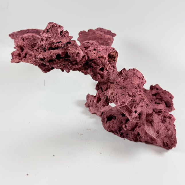 WYSIWYG Coraline Reef Rock #19