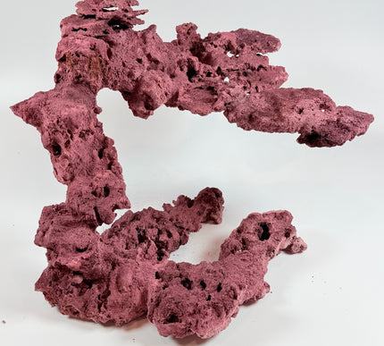 WYSIWYG Coraline Reef Rock #19