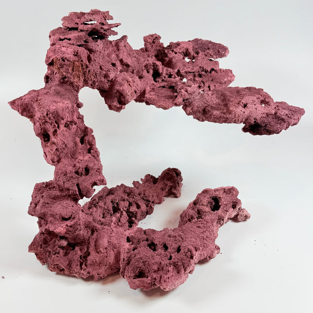 WYSIWYG Coraline Reef Rock #19