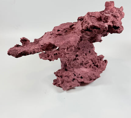 WYSIWYG Coraline Reef Rock #20